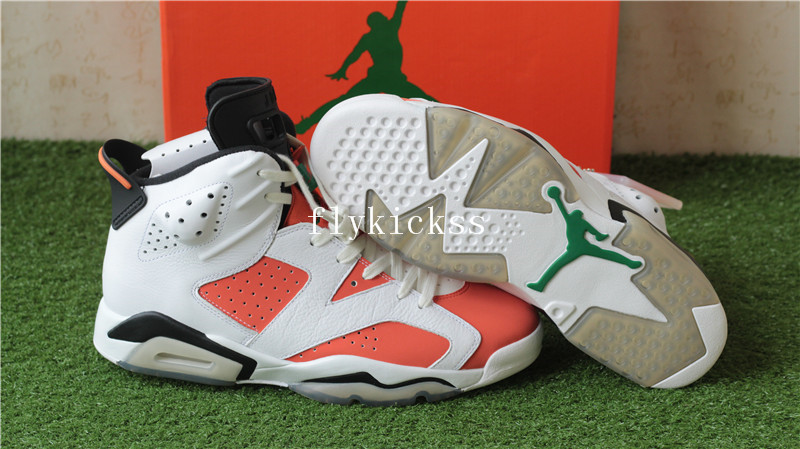 Authentic Air Jordan 6 Gatorade